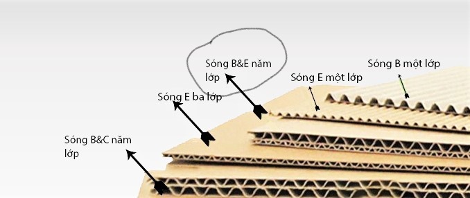 THÙNG CARTON 5 LỚP SÓNG EB